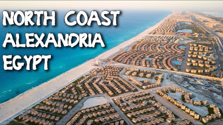 Alexandria Typical Floor 2-Bedroom