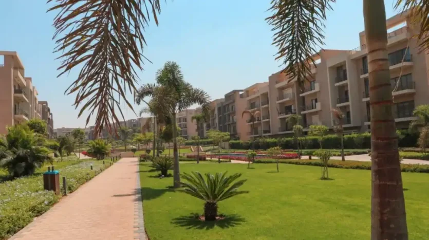 marville new zayed