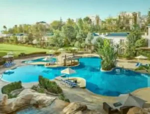 The Mark administrative