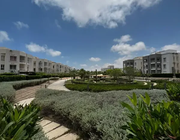 Amwaj north coast