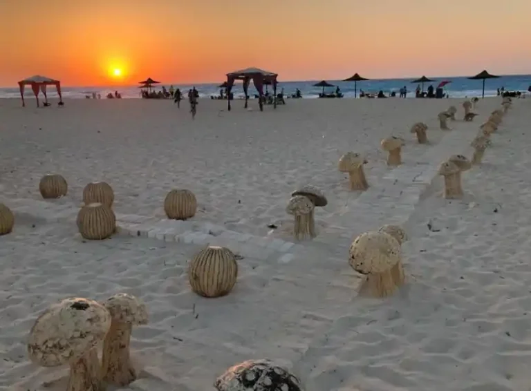 نيوم اكتوبر دور متكرر 3 غرف نوم