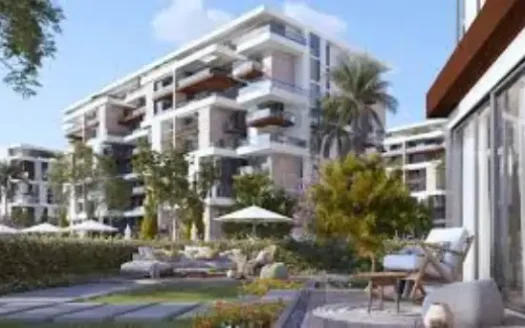 Noll NEW CAIRO