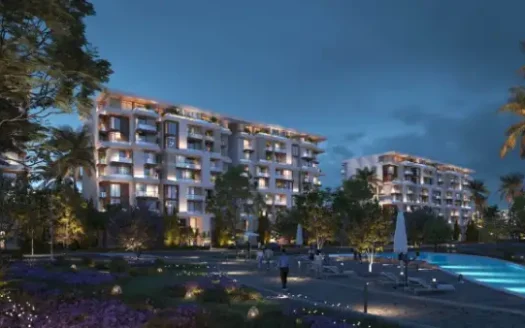 Noll NEW CAIRO