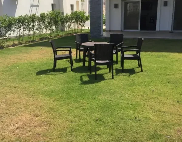 Amwaj north coast