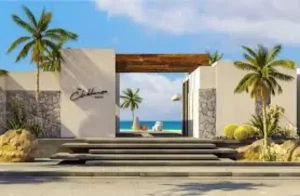 DOSE typical Floor 1-Bedroom