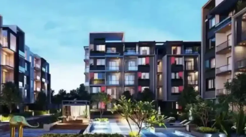 the mornings new cairo