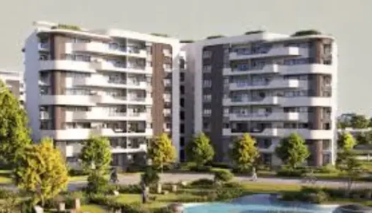 the island new capital