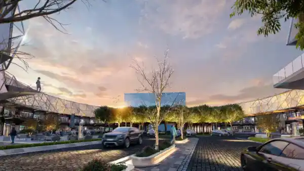 cinco administrative