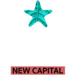 Stella Developer