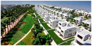 بالم هيلز العين السخنة