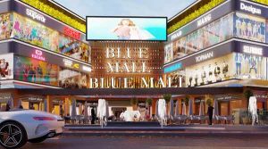 بلو مول العاصمة الادارية 