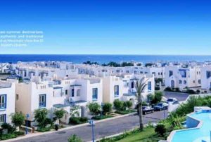 ماونتن فيو راس الحكمة