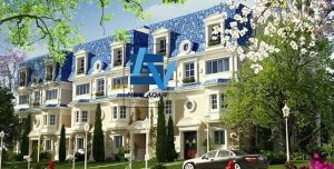 ماونتن فيو جيزة بلاتوه 