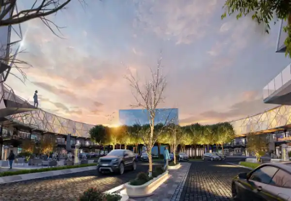 cinco administrative